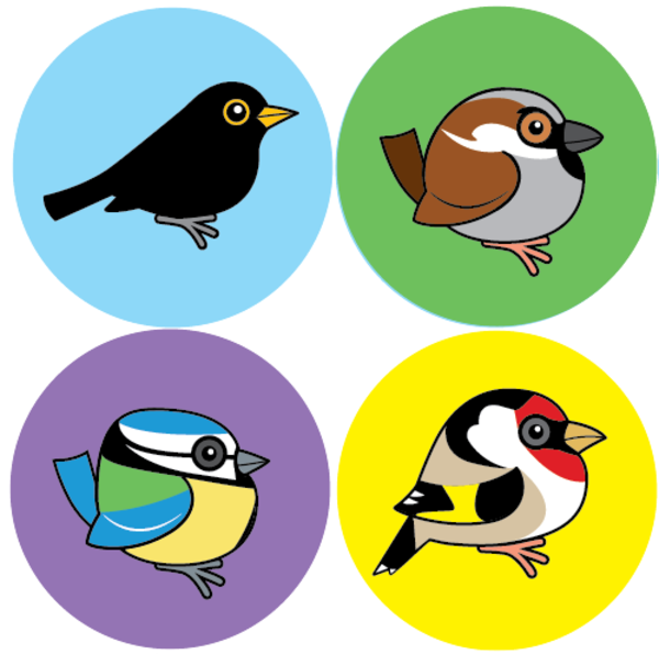 600x595 Finch Clipart Garden Bird