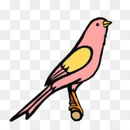 260x260 Finches Beak Clip Art