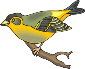 298x243 Goldfinch Png, Svg Clip Art For Web