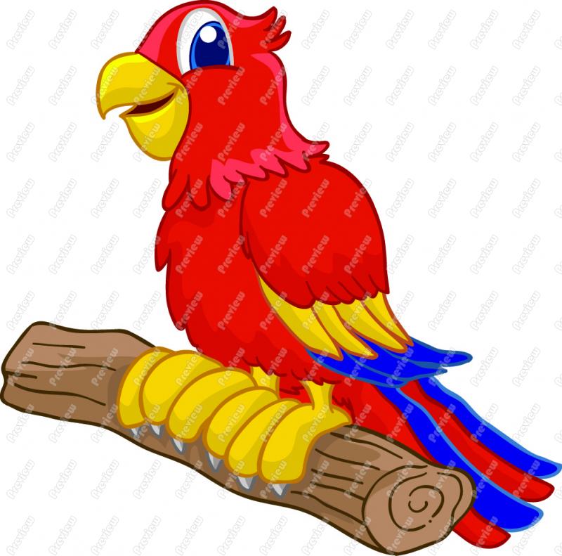 800x791 Animl Clipart Parrot