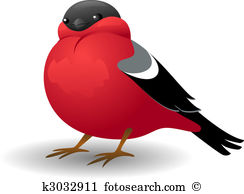 244x194 Top 87 Finch Clip Art