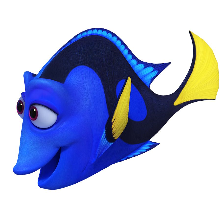 911x888 Jenny (Finding Nemo) Disney Wiki Fandom Powered By Wikia