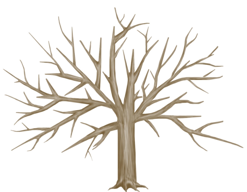 1025x800 Unique Tree Trunk Clipart Design