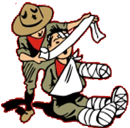 255x252 Wilderness First Aid