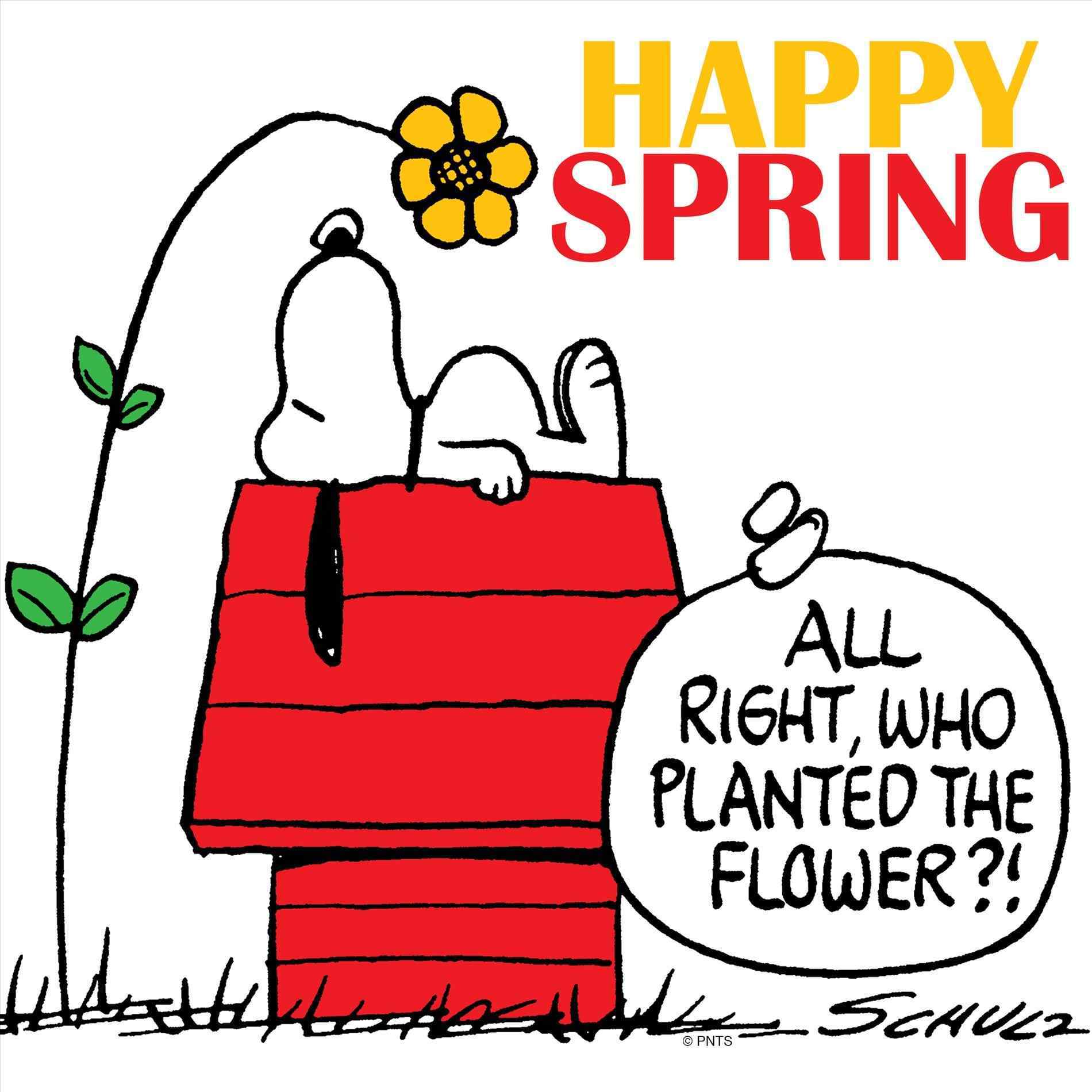 1900x1900 Free Clipart First Day Of Spring Your Meme Source