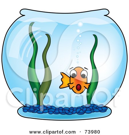 450x470 Royalty Free (Rf) Goldfish Clipart, Illustrations, Vector Graphics