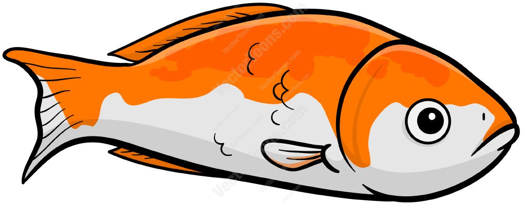 1024x403 Orange And White Fish Cartoon Clipart Vector Toons