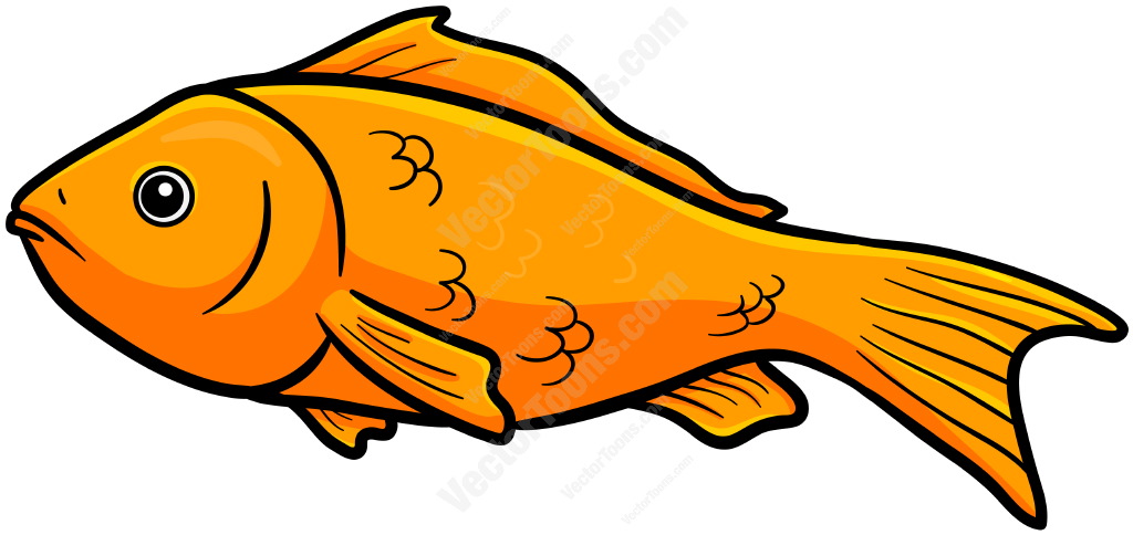 1024x484 Fish Cartoons Pictures Group