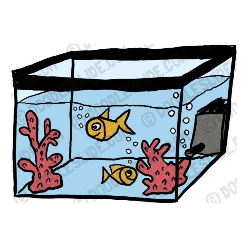 800x800 Fishtank Clipart
