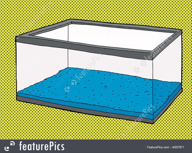800x638 Rectangular Fish Tank Clip Art