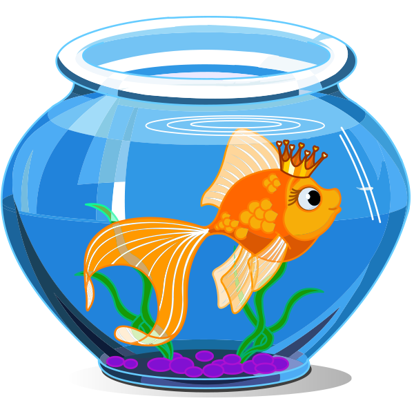 600x600 Royal Goldfish Goldfish, Royals And Clip Art
