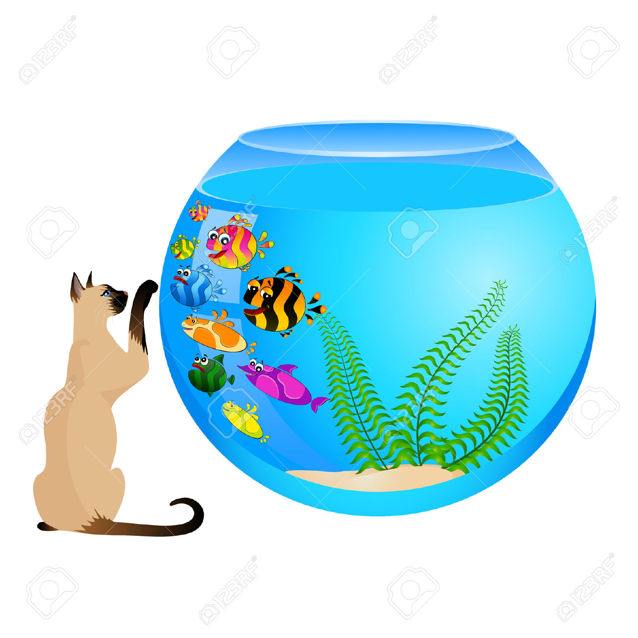 1300x1300 Colorful Aquarium Clipart