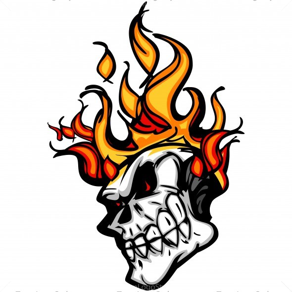 590x590 Flaming Skull Cartoon