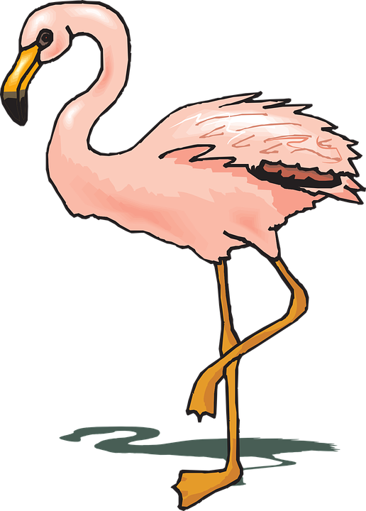 516x720 Flamingo Clipart Wings