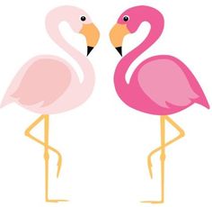 236x230 Pink Flamingo Clipart, A Pair Of Pink Birds Digital Png Clip Art