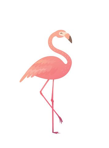 356x483 Beautiful Pink Flamingo Clip