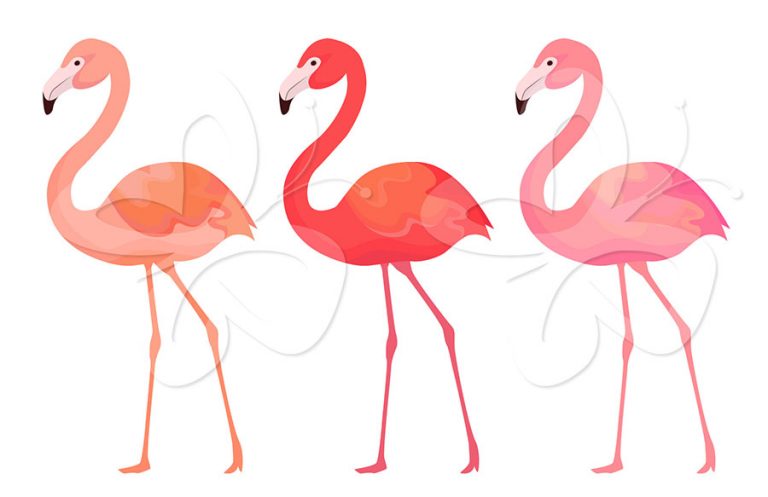 768x497 Pink Flamingo Clipart Flamingo Clip Art Free Clipart Panda Free