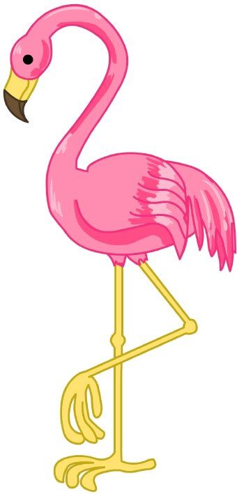 340x709 Pink Flamingo Bradenton, Fl (941