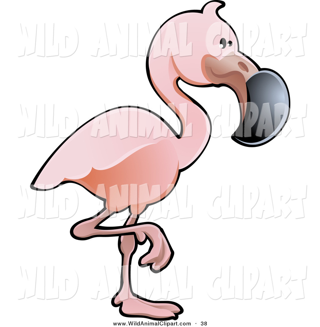 1024x1044 Flamingo Clipart Boy