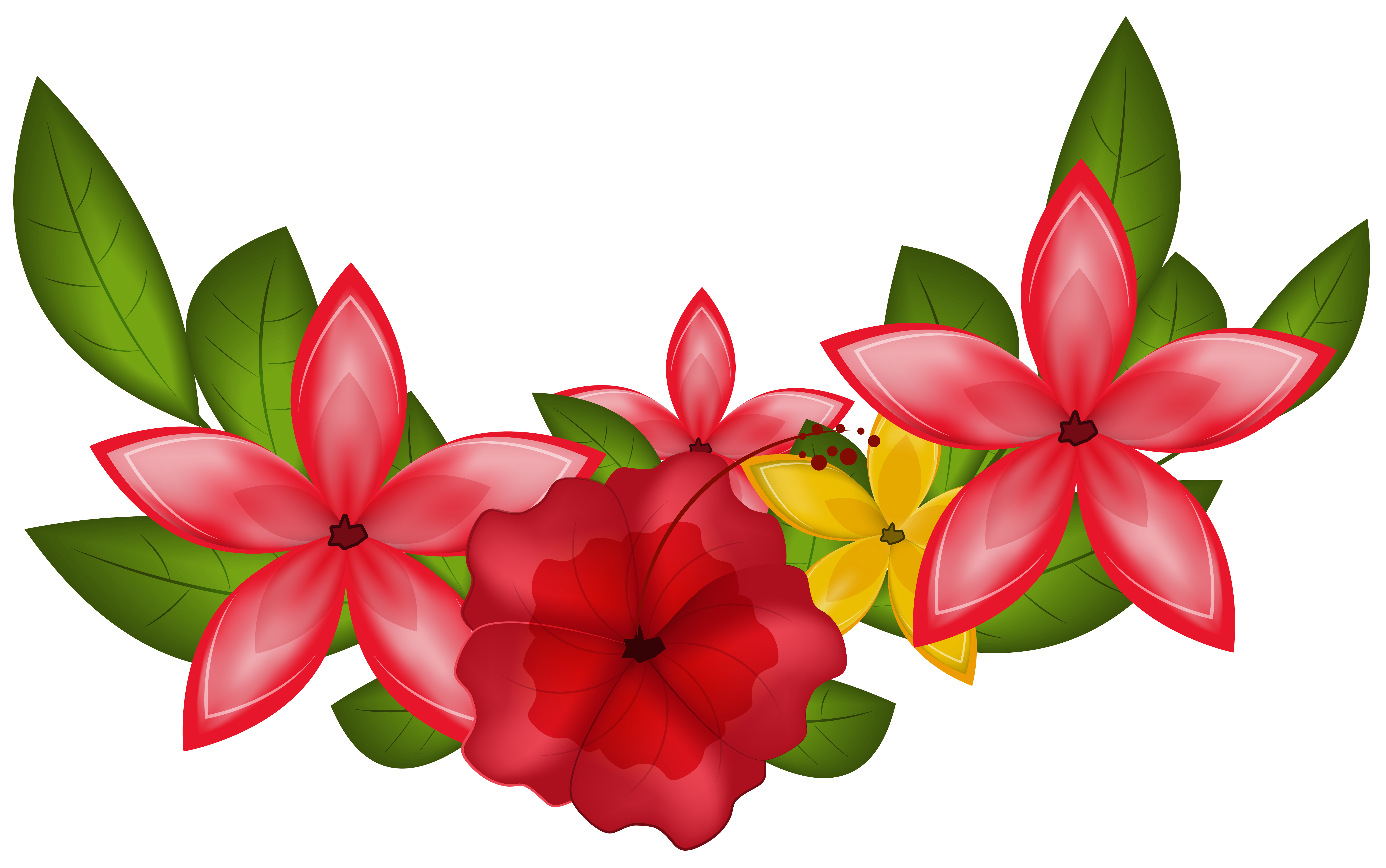6221x3898 Exotic Floral Decoration Png Clipart Imageu200b Gallery Yopriceville