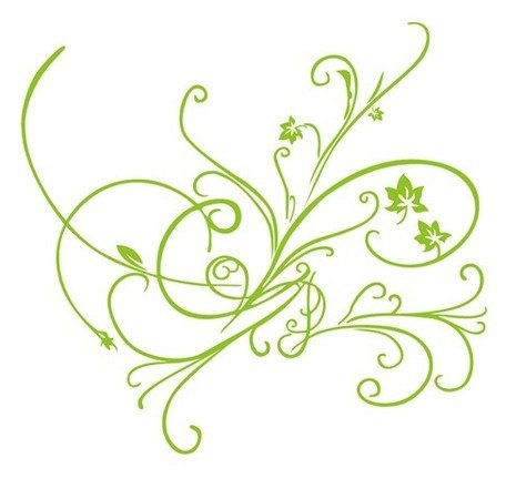 456x450 Free Vecteur Vert Floral Ornament Clipart And Vector Graphics