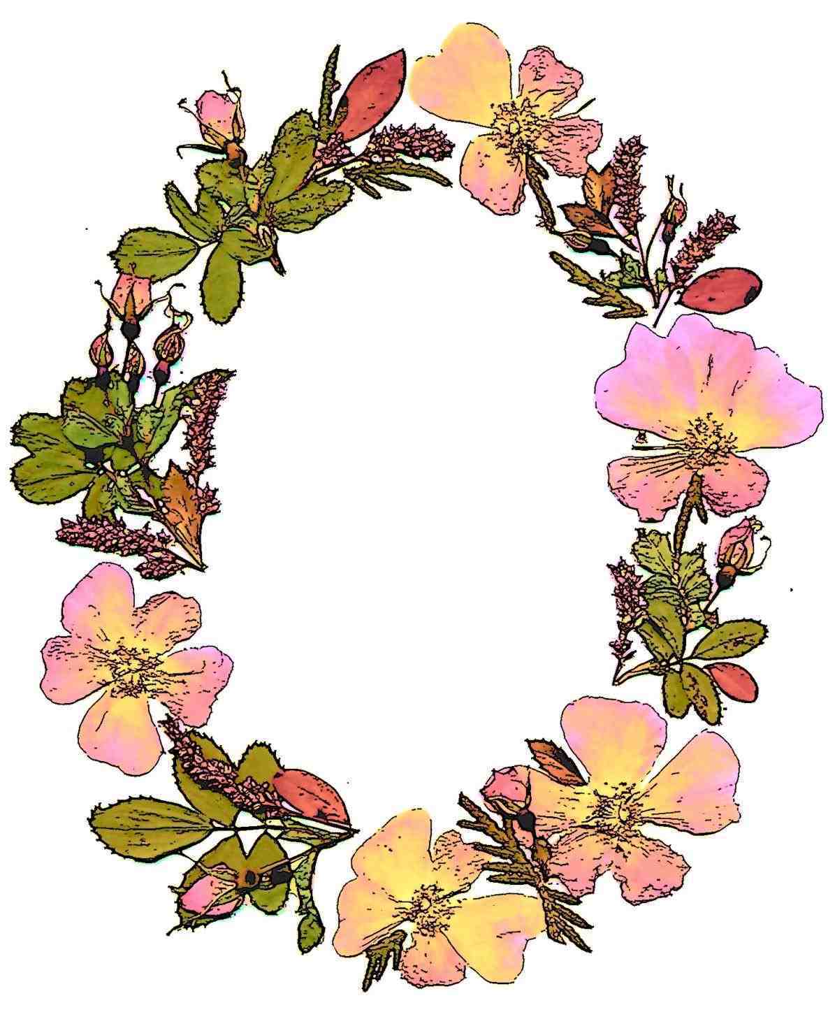 1185x1458 Bee Gallery Rhgalleryyopricevillecom Free Watercolor Flower