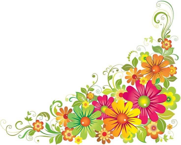 736x593 Flower Borders Clip Art Free Collection Download And Share