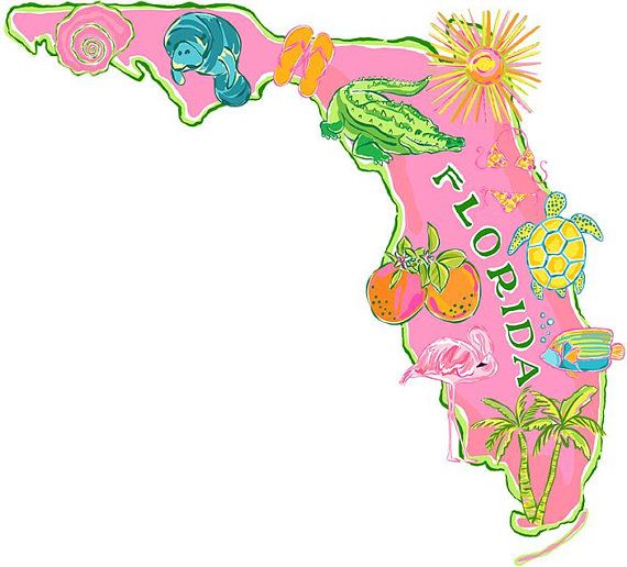 570x516 Instant Download