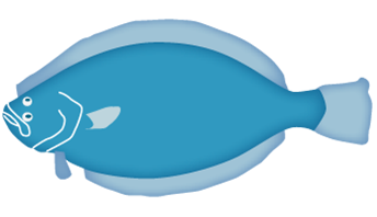 344x198 Seafood Clipart Halibut