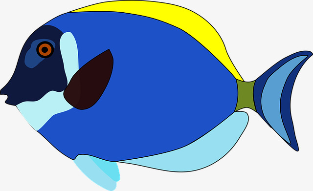 640x391 Blue Flounder, Good Looking, Ocean, Fish Png Image And Clipart