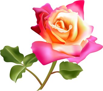340x300 Beautiful Clipart Flower Arrangement