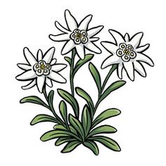 Flower Basket Colouring Pages at GetDrawings | Free download