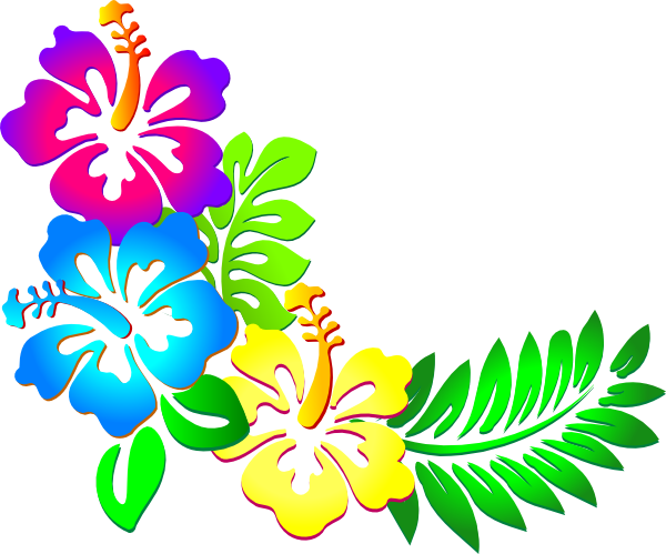 600x499 Flower Border Hibiscus Border Clipart Clipart Kid 2