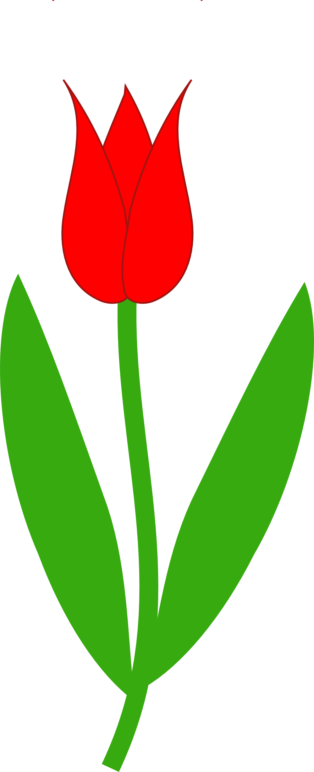 999x2456 Free Tulip Clip Art Pictures