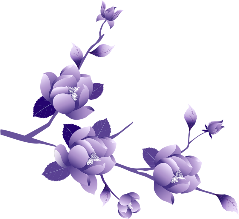 800x734 Purple Flower Rose Clip Art