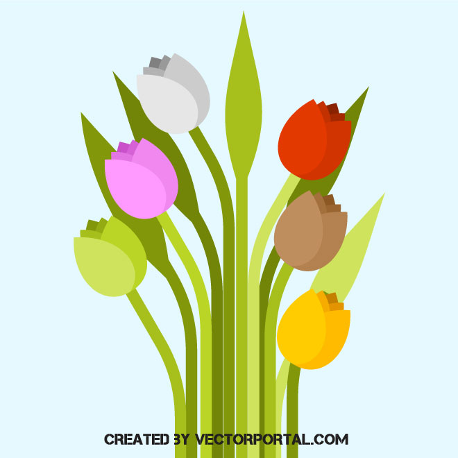 660x660 Floral Decoration Vector Clip Art