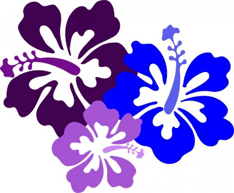 820x677 Best 25 Free Clip Art Flowers Ideas On Clipart Ofpng