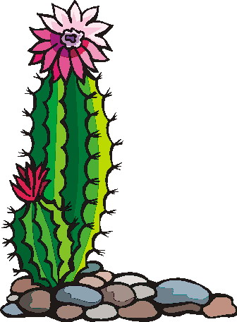 336x456 Gallery For Cactus Flower Clipart 2 Image