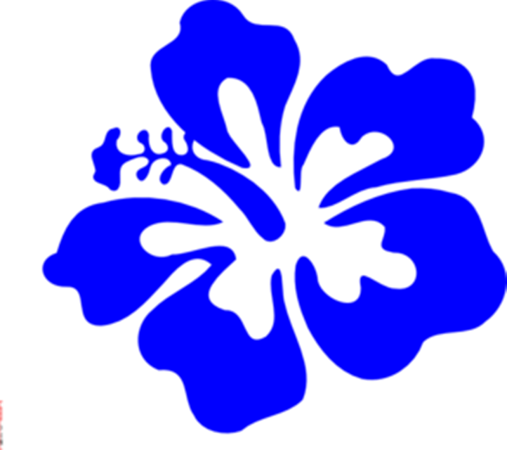 722x640 Hawaiian Flower Border Clipart