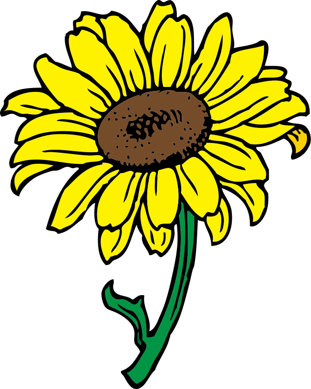 640x800 Sunflower Images Clip Art Bouquet Of Flower Outline Clip Art Free