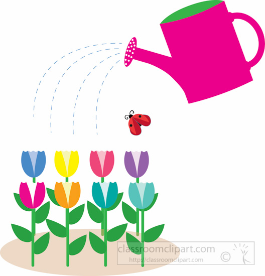 528x550 Tulip Clipart Full