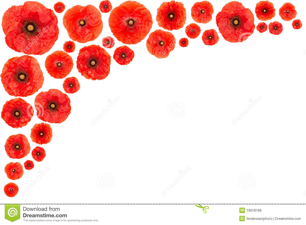 1300x957 Red Poppy Flower Clipart