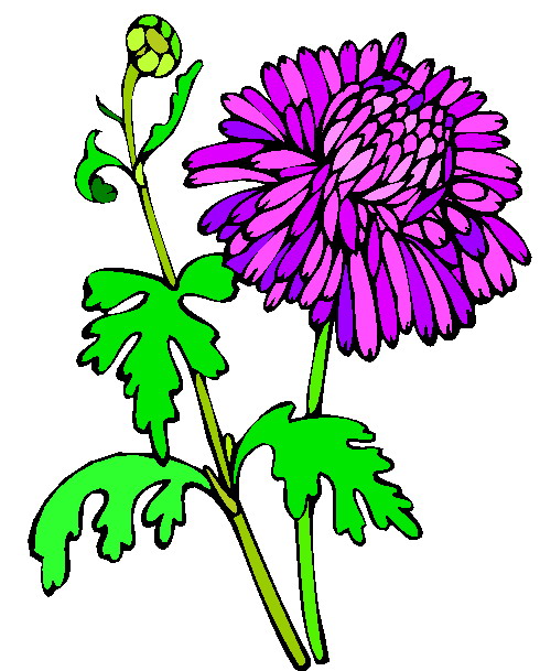 490x609 Flowers Clip Art Flowers And Plants
