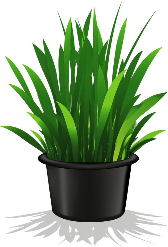 544x800 Flower Pot 11.png Plant Flower, Clip Art And Decoupage