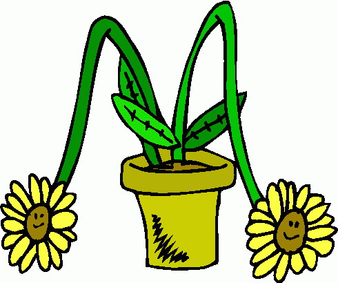 490x410 Flowers Clip Art Flowers And Plants