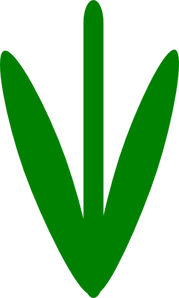 360x597 Stem Clipart Clip Art