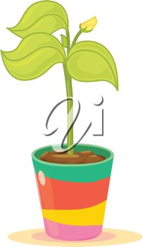 203x350 Clip Art Illustration Of A Pot Plant