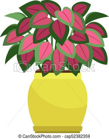 368x470 Coleus House Plant In Flower Pot, Vector Icon On White Background.