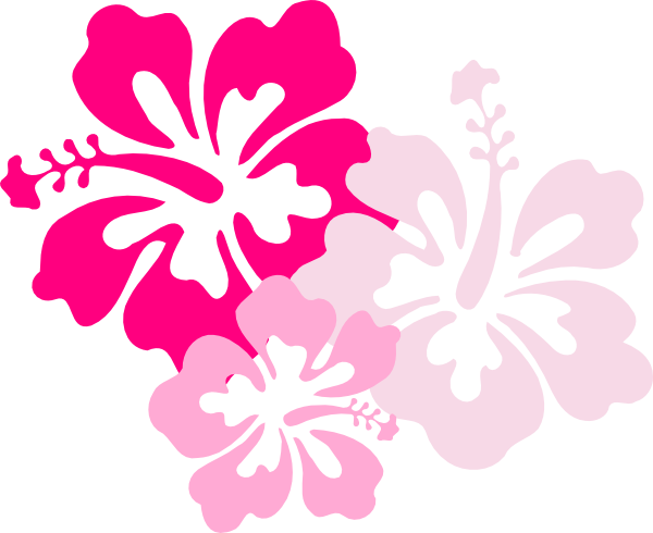 600x490 Hawaiian Flowers Clipart No Background