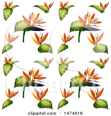 450x470 Royalty Free (Rf) Clipart Of Bird Of Paradise Flowers